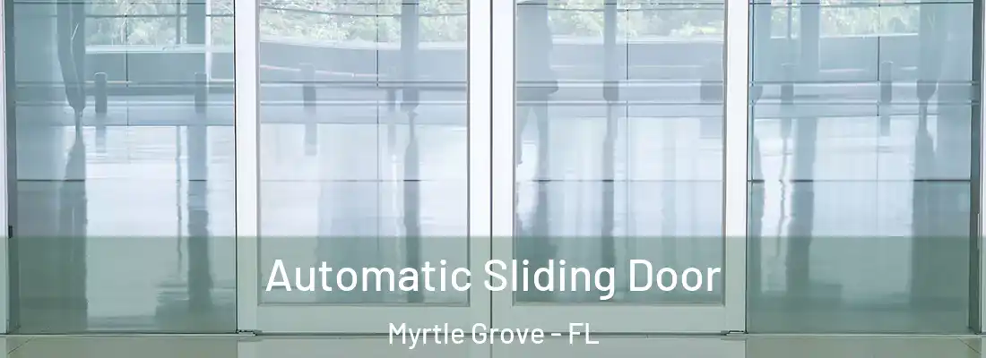 Automatic Sliding Door Myrtle Grove - FL