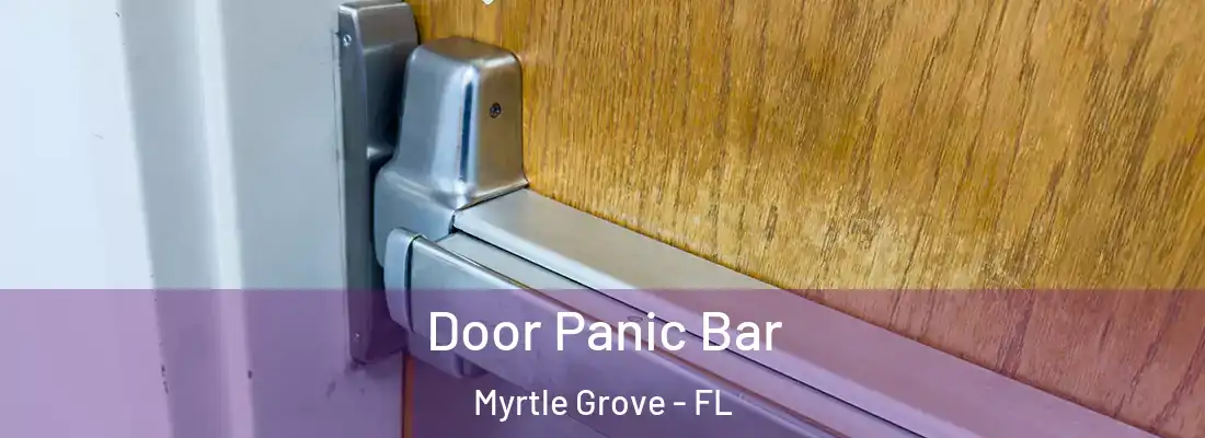Door Panic Bar Myrtle Grove - FL
