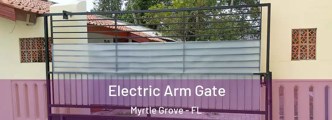 Electric Arm Gate Myrtle Grove - FL
