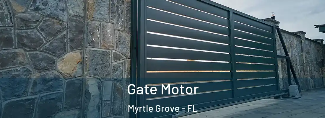 Gate Motor Myrtle Grove - FL
