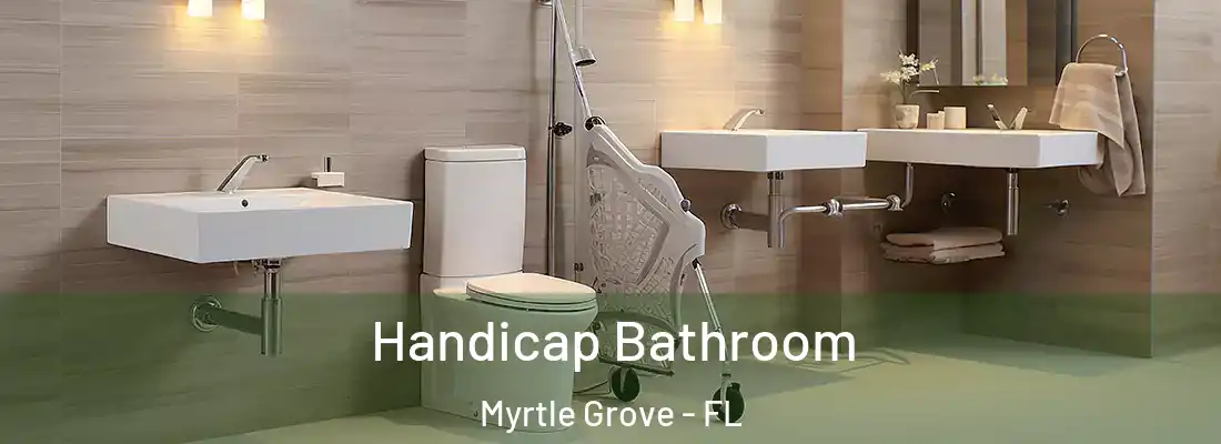 Handicap Bathroom Myrtle Grove - FL