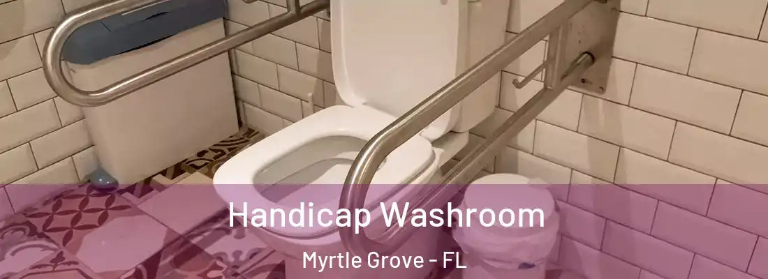Handicap Washroom Myrtle Grove - FL