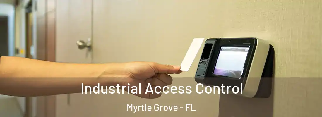 Industrial Access Control Myrtle Grove - FL