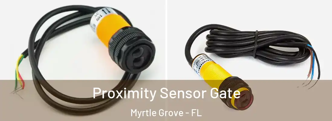 Proximity Sensor Gate Myrtle Grove - FL