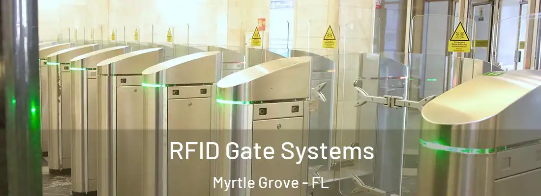 RFID Gate Systems Myrtle Grove - FL