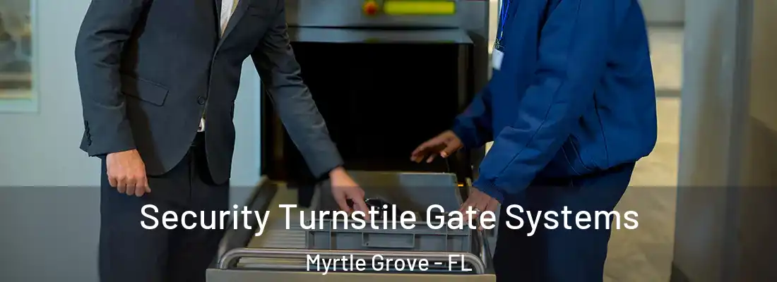 Security Turnstile Gate Systems Myrtle Grove - FL