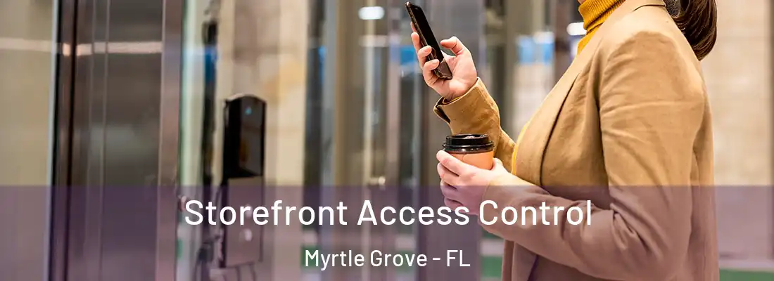 Storefront Access Control Myrtle Grove - FL
